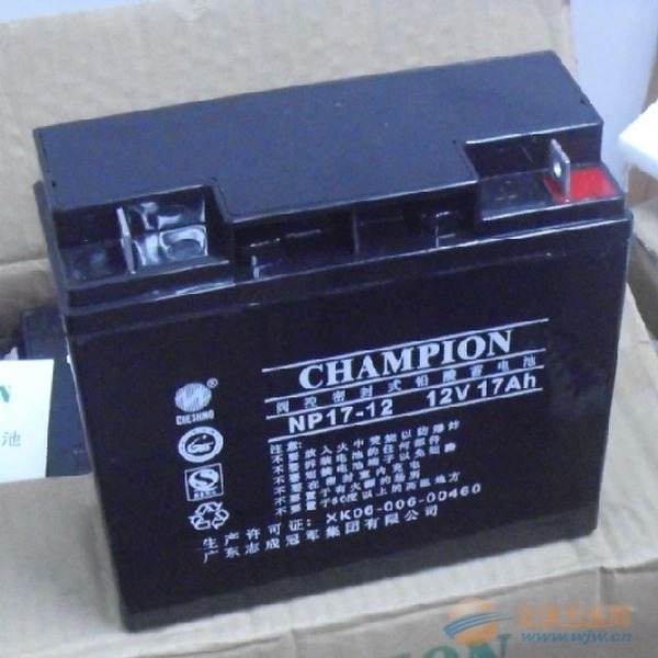 ܊늳12V65AH