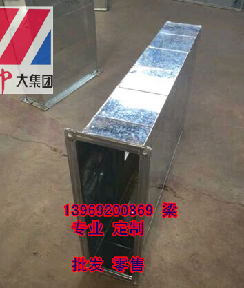 ZP100aƷr