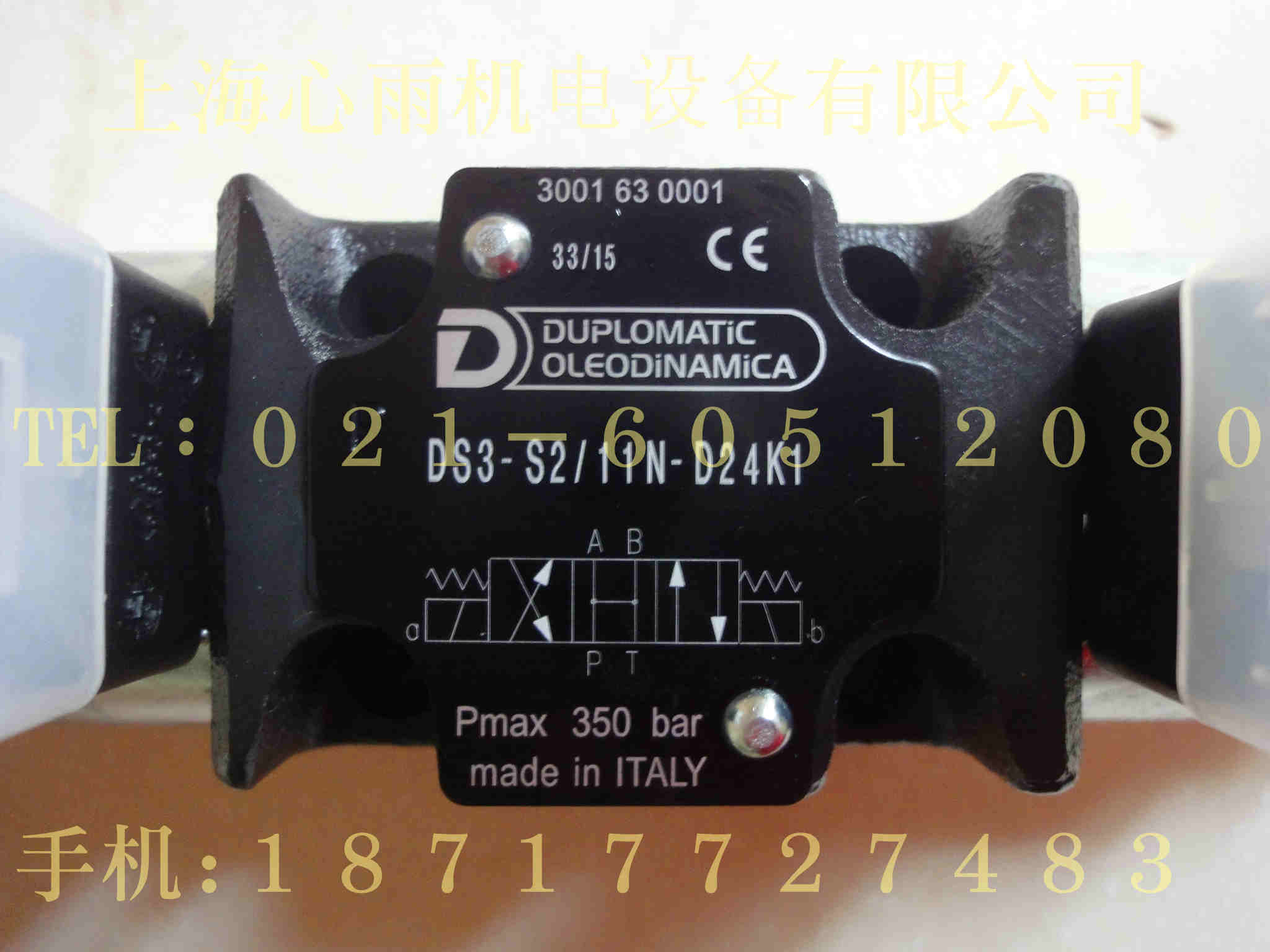 DS3-SB7/10N-D110K1R·yԭb