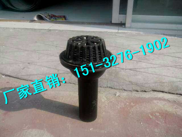 ֱN01S302ʽˮ YG80PˮaS
