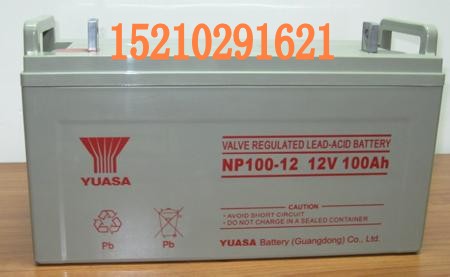 Vݮaձ\늳NP100-12  Ҏ񅢔
