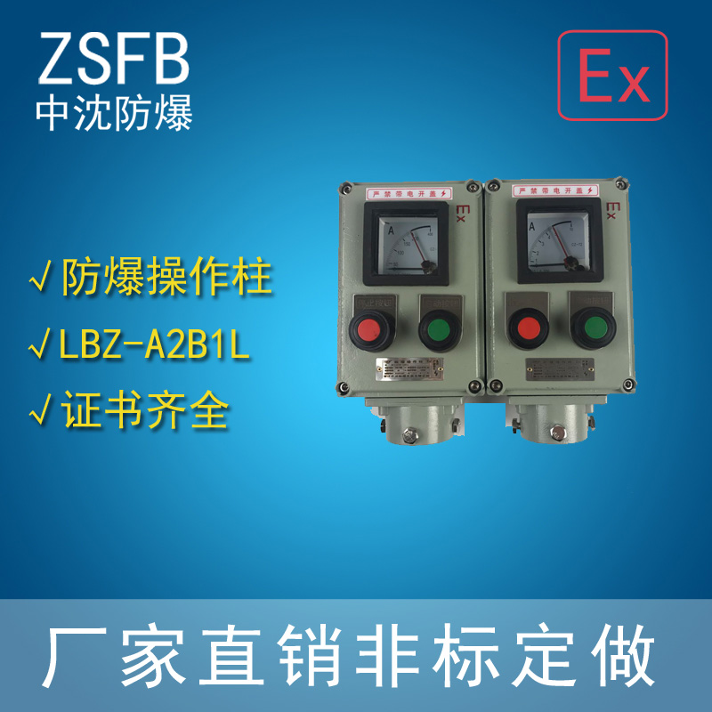 LBZ-A2D2B1LXϽT
