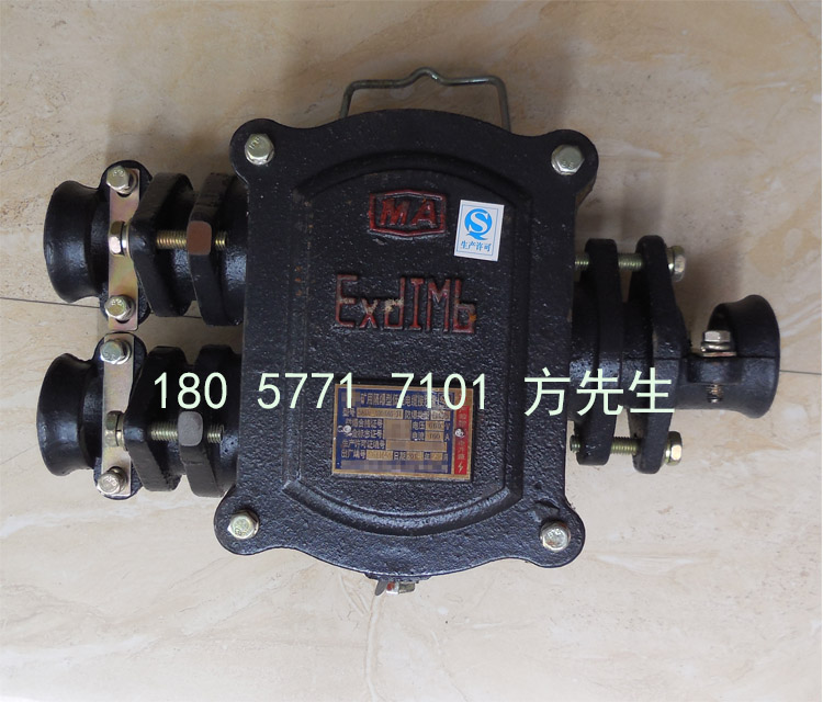 BHD2-100/660(380)-3TúVø͵͉|Ӿ