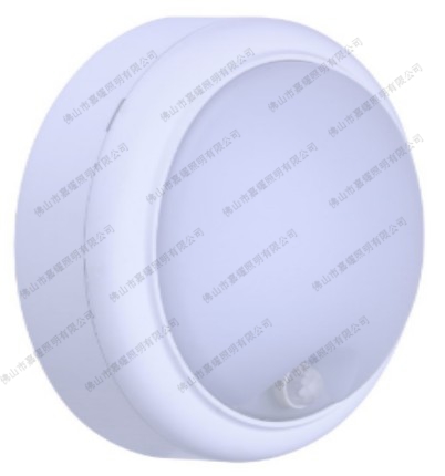 ¿wWL008C LED1015W LEDС