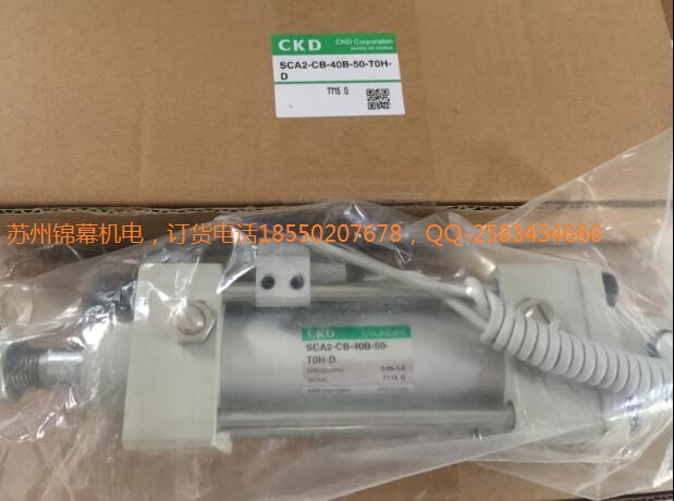 SCA2-00-40B-70/ZձCKDϲ_D_Һy
