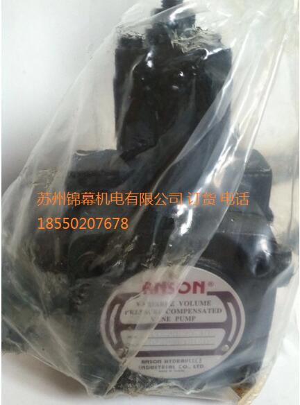 TPF-VL301-GH1-10_ANSONힴ~ƬãӋ׃