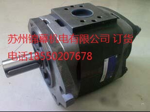 IPVP5-50-111SX݆ VOITH X݆