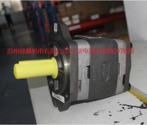 IPVP5-64-111VOITH X݆ y