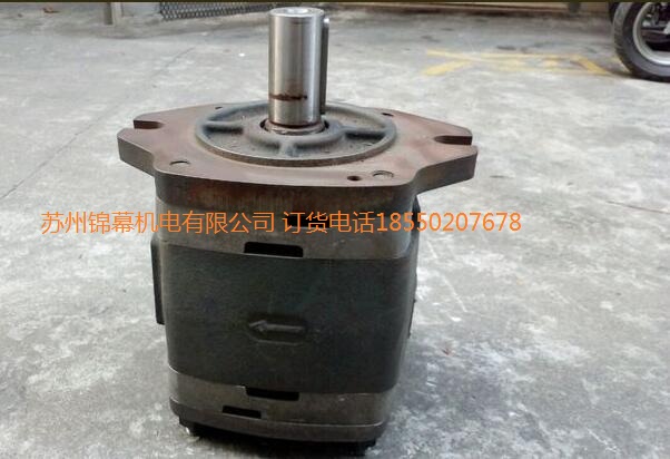IPVP6-100-101VOITH X݆ãSensorsӂ
