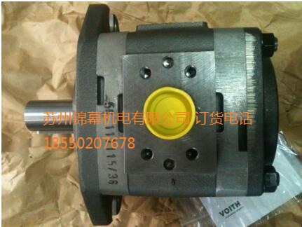 IPVP6-125-101pX݆VOITH X݆