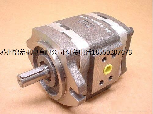 IPVP7-200-111VOITH X݆ãֱʽy