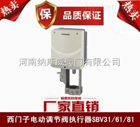 ݼ{˹SBV61T늄ӈS҃r