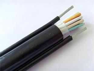 SFF-75-3-1|ֱN
