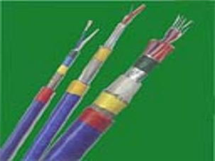 SFF-75-3-1|ָ