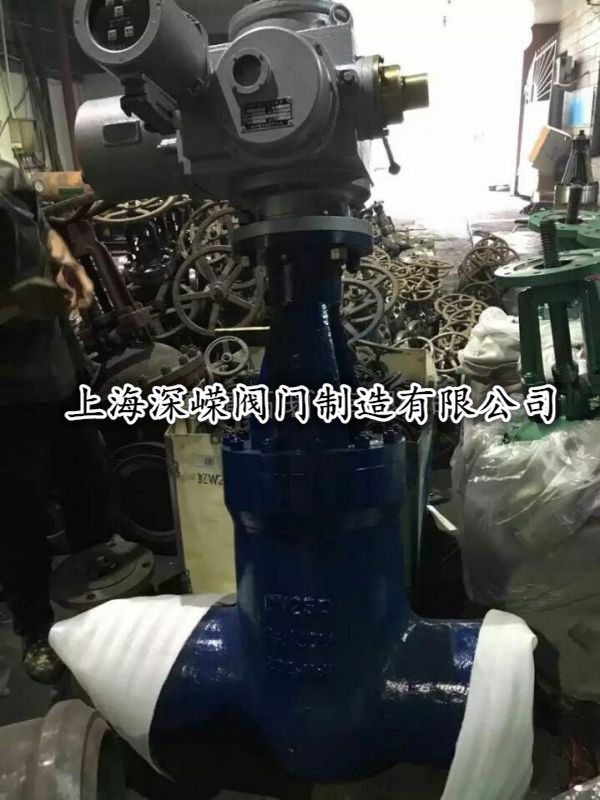 Z961Y-P54-100VDN225ߜغ늄lyDN250ϺVyTS