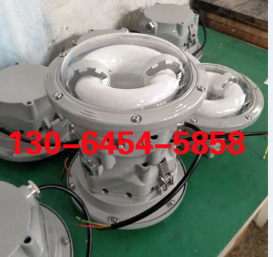 LHF2176L۷ѣ픟 L