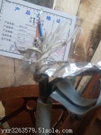F·̖|PZYA(PTYA)S