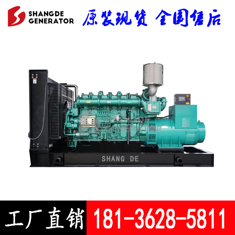 1000kwͰl늙CYC12VC1680-D31ŷŃr