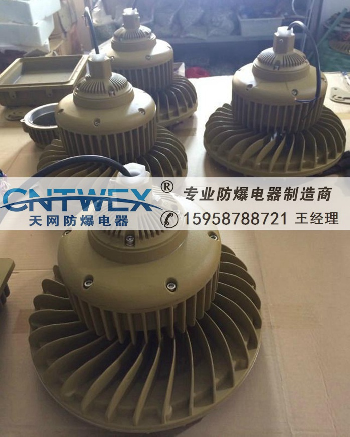 BZD130-100WLEDˮmLED(IIC)