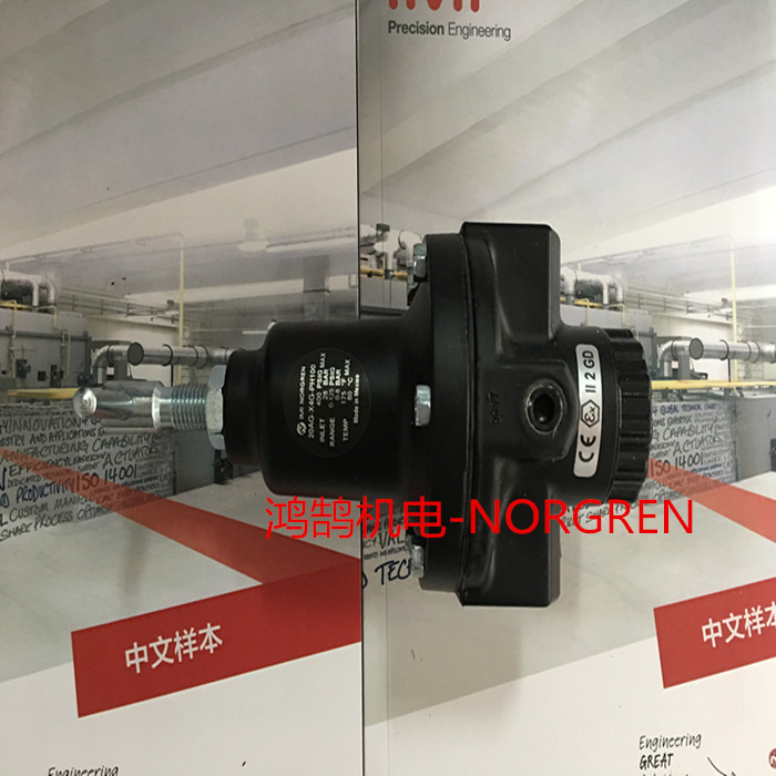 ZNORGREN{y20AG-X6G/PH100r