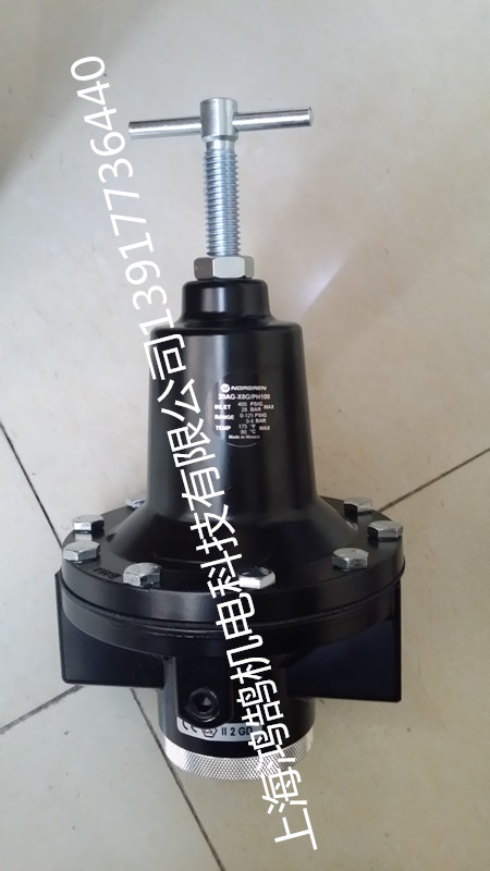 11400-100-20AL{yNORGRENZϺF؛