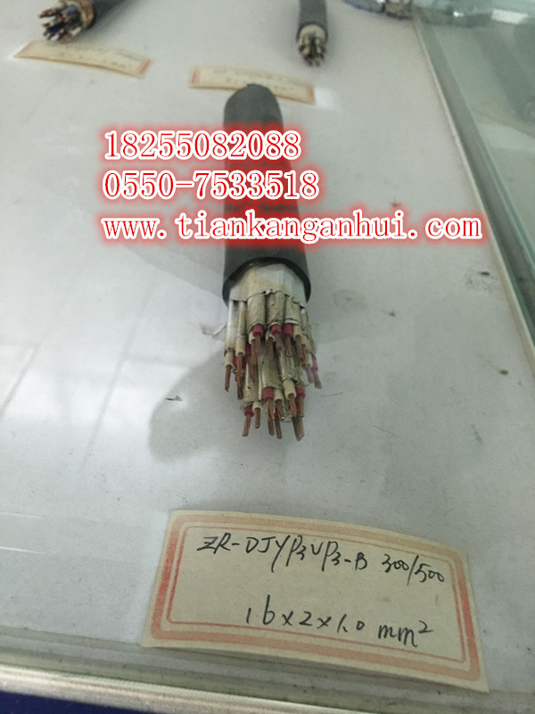 JHYJPJZP90JHER85JHYJR85JHYJ|쿵F