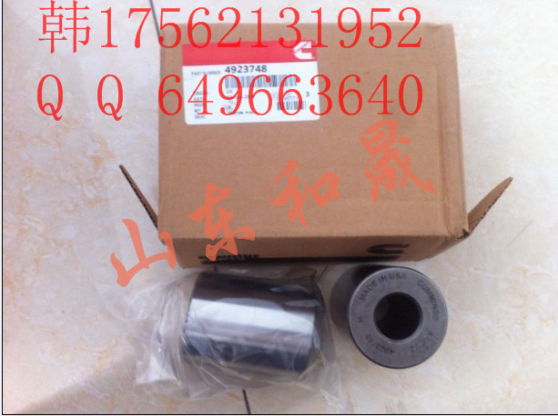˹QSX15N4923748