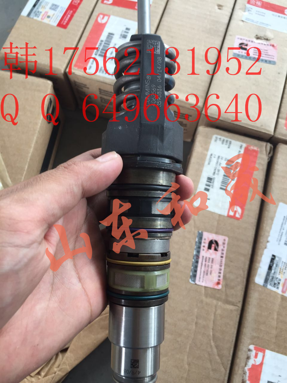˹QSX154062569/4010346