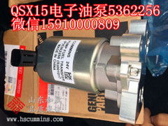 2017QSX15ȼͱ 5362256 Ʒ