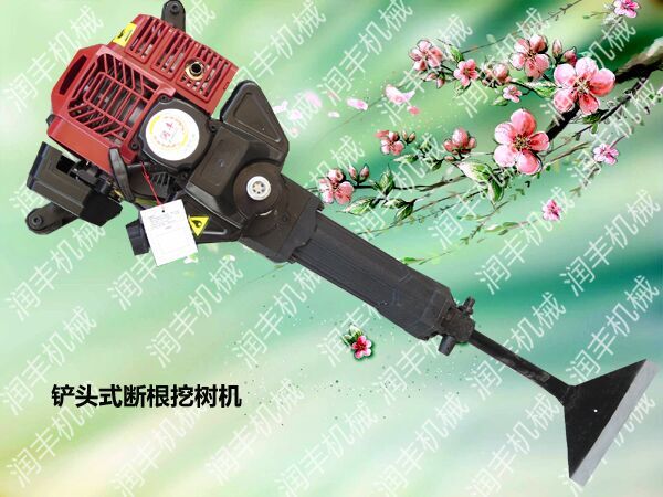 ژC ھSoC