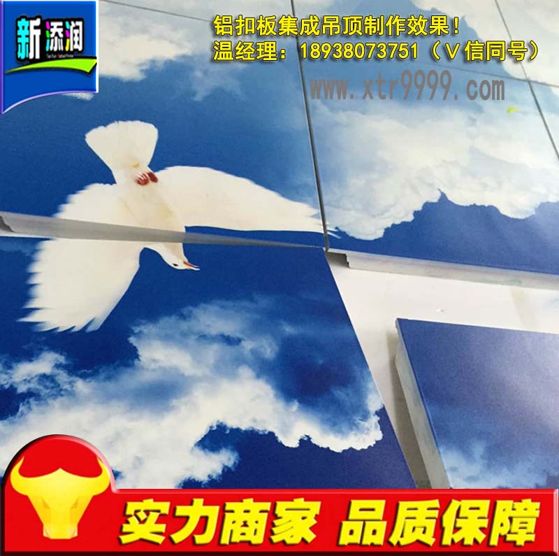 X۰弯ɉӡCܷ