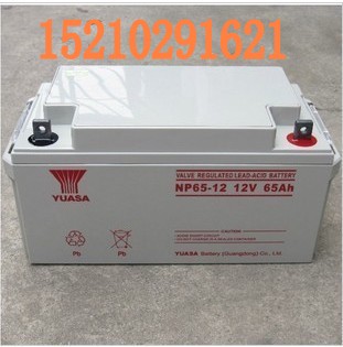 ̫ԭ\늳NP65-12   12v65AH