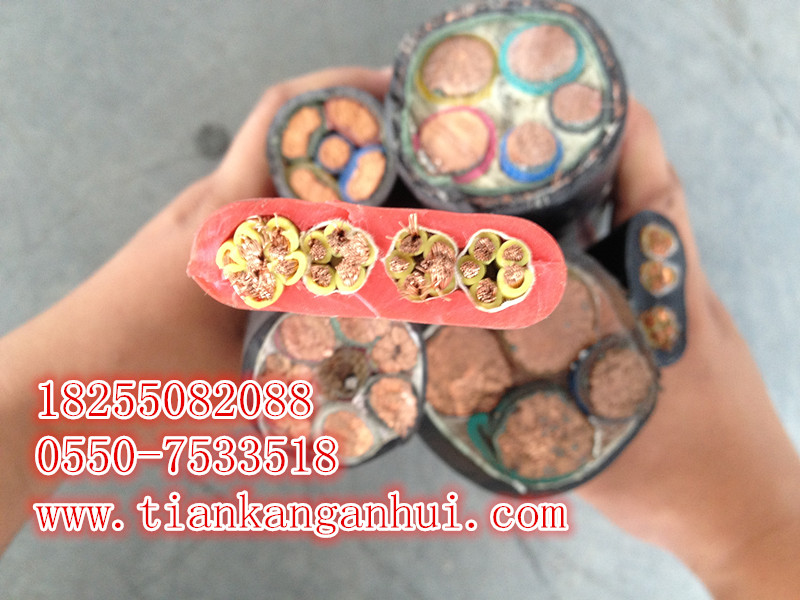 CKJPJ8595CKJP85|쿵F