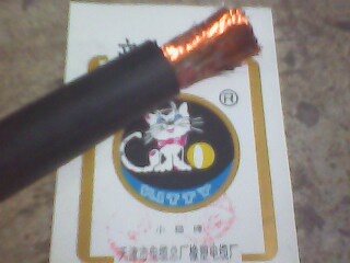 YH|YH|rYH|rYH늺C|S