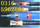 |ֱN PTYATF·̖|PZYA22 PTY23 