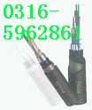 lُ PTYATF·̖|PZYA22 PTY23 