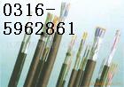 RVVP2-22-  |  ȫ