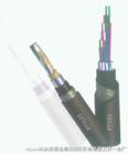 F·̖|PTYA23rԃ