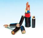 ZR-BPYJVP1-2ȼ| ZR-BPYJVP1-2|r