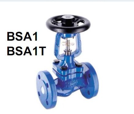 ˹ɯBSA1Tyֹܽy