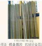 D512t䓶Ѻl