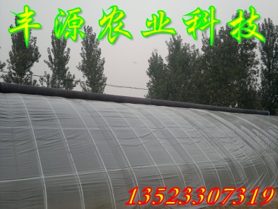 \Bֳ֧ܙCǼܙC߲˴֧ ߲˴r ߲˴ｨ