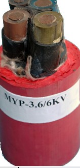 MYP MCPVz|