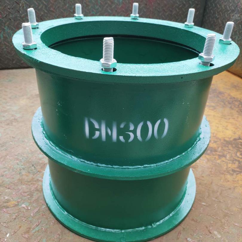 ꖿhPԷˮ׹ ˮSA׹DN300 ïS