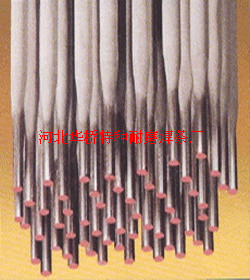 Z308TF늺lEZNi-1