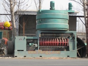 D׌300եOD׌̎