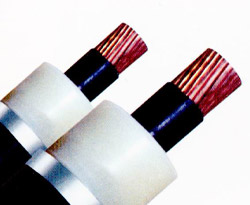 YJV10KV3*150߉|