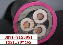 |YC450/750-3*35MM2