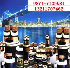ZR-YJV-10KV 3*50|