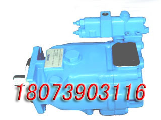 lʿPVH098R01AJ30E252009001001AA010A